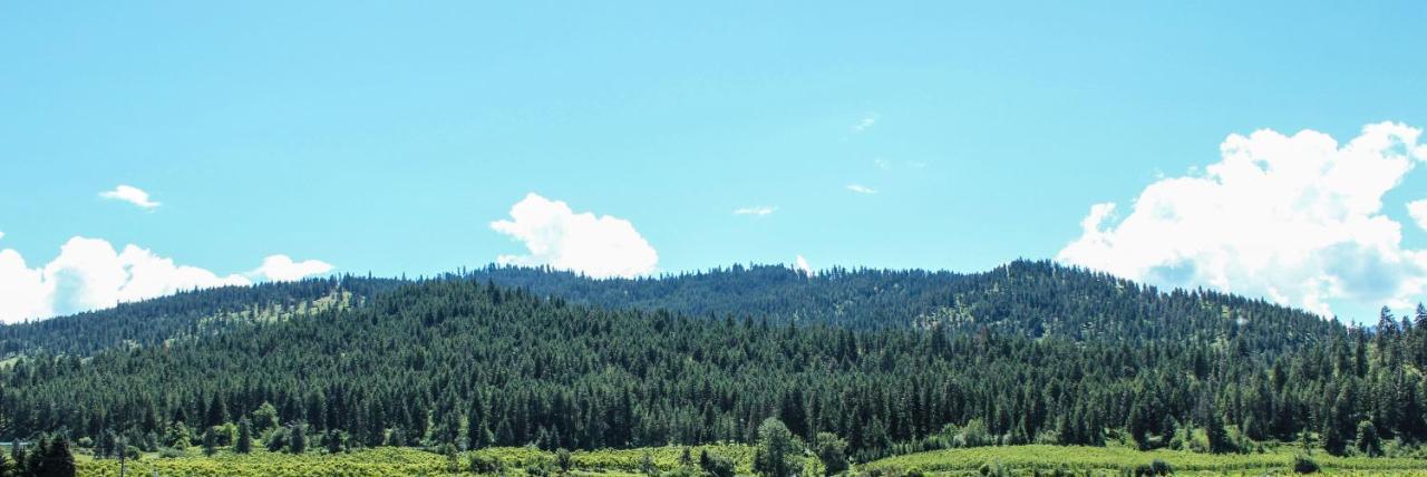 Wedge Mountain Inn Peshastin Luaran gambar